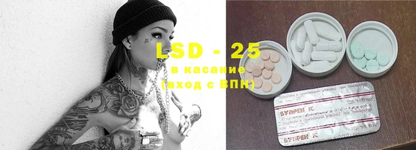 ECSTASY Богородицк