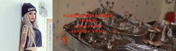 скорость Богородск