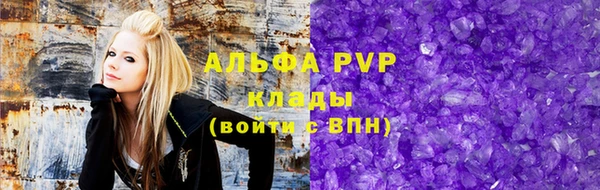 ECSTASY Богородицк