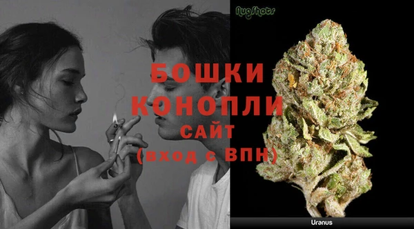 ECSTASY Богородицк