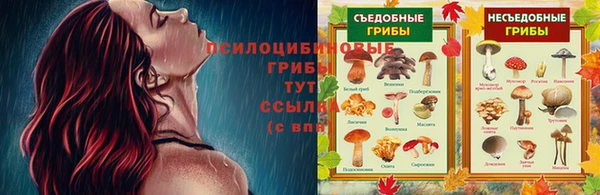 ECSTASY Богородицк